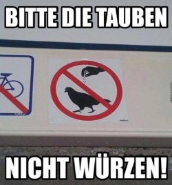 1Aufzeichnen.JPG