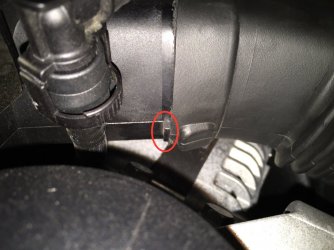 IMG_3085.jpg IMG_3085.jpg