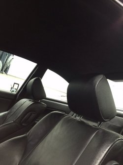 IMG_5442.JPG IMG_5442.JPG