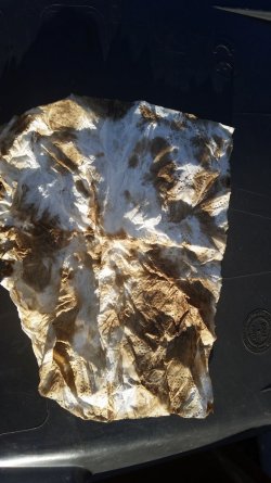 20160129_152511.jpg