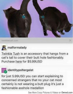 1454157760436.jpg