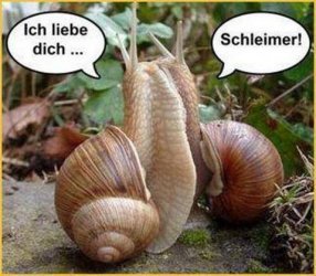 ich-liebe-dich-schleimer.jpg