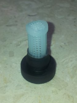 20150524_113215.jpg