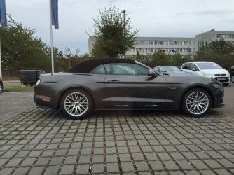 Mustang Cabrio_seitlich_1837.jpg