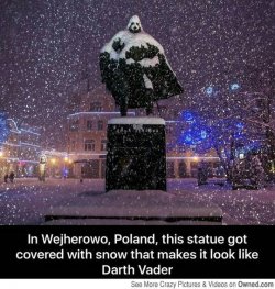 1454612800032.jpg