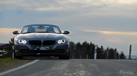 zr3665b.jpg