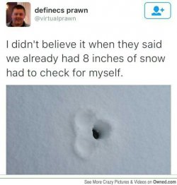 1455193666409.jpg