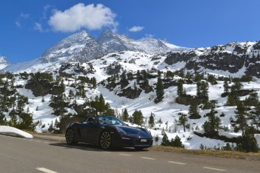 DSC_0234.jpg