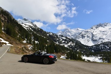 DSC_0223.jpg