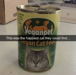 1455547717217.jpg