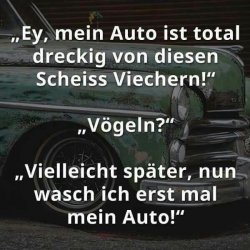 1455627430159.jpg