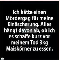 IMG-20160216-WA0005.jpg