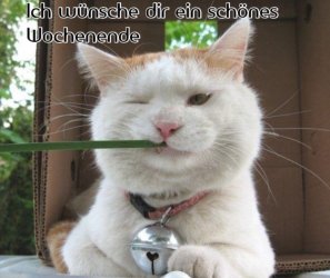 image.jpeg