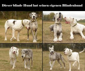 Wunder 2.jpg