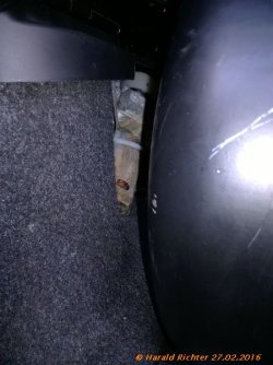 WP_20160227_009-k.jpg WP_20160227_009-k.jpg