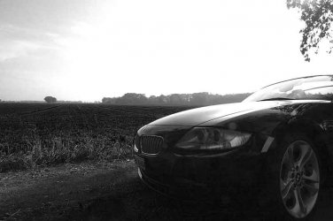 Z4sw4.jpg