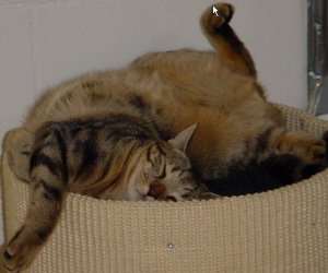Rusty1.jpg