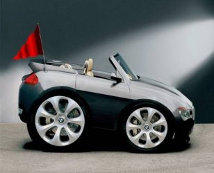 z6.jpg