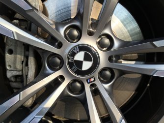 schwarze Käppchen klein.JPG