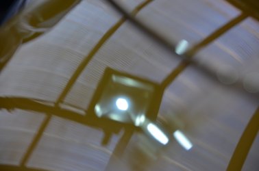DSC_1036.JPG