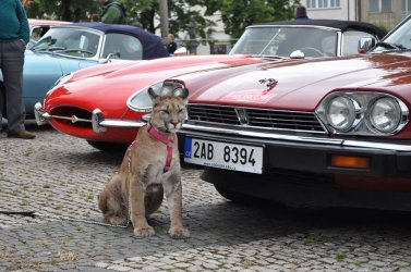 ....der ist ja noch Größer als wie ich ;-))).jpg