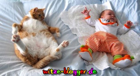 katze-macht-baby-nach.jpg