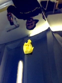 image.jpeg