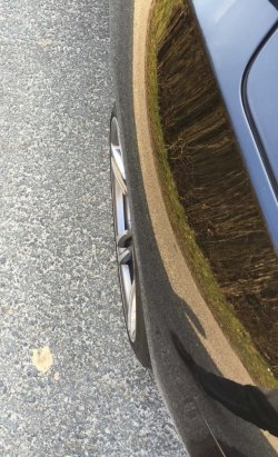 IMG_3199_1.jpg IMG_3199_1.jpg