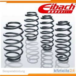 Eibach.JPG