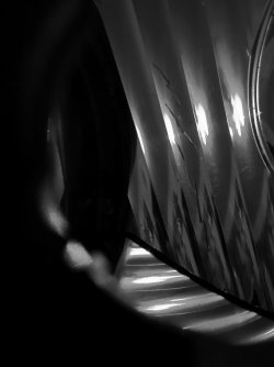 image.jpeg image.jpeg