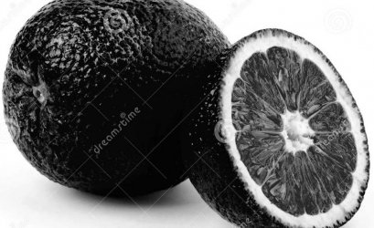 schwarze-orange.jpg