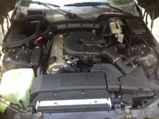 IMG_1425.jpeg IMG_1425.jpeg