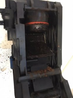 IMG_8380.JPG IMG_8380.JPG