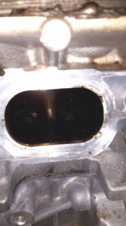 20160416_111012.jpg