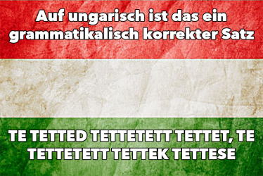 13006453_982440828519411_4091076669245499921_n.png