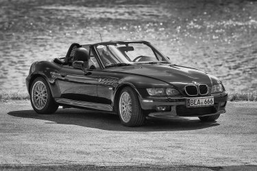 IMG_0506-bw2.jpg
