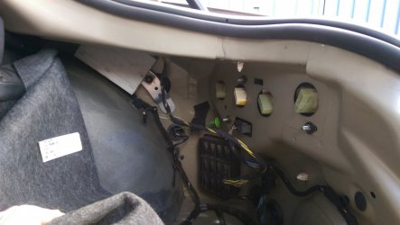 IMAG0981.jpg