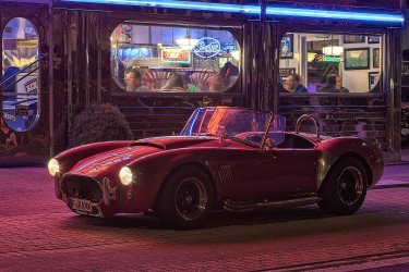 comp_cobra_HDR3.jpg