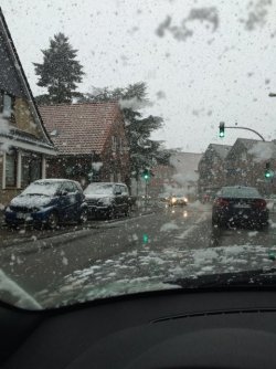 d3019192.l.jpg d3019192.l.jpg