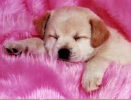 upload_2016-4-26_18-9-3.png