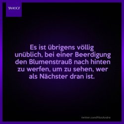 blumen.jpg