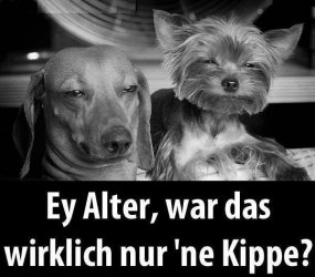 cAufzeichnen.JPG