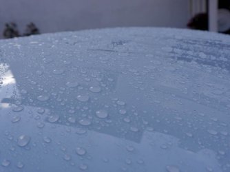 ImageUploadedByzroadster.com1462359946.096886.jpg