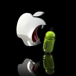 image.jpeg