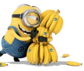 image.jpeg