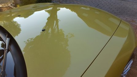 14626455961386.jpg