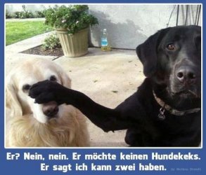 1Aufzeichnen.JPG