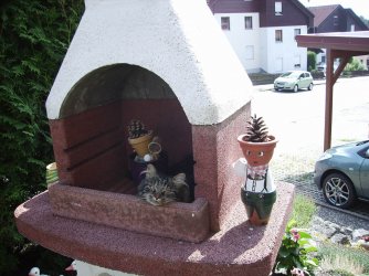 Katze im Grill 001.JPG