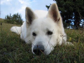 IMG_1348_.jpg