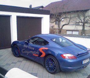 cayman-1.jpg